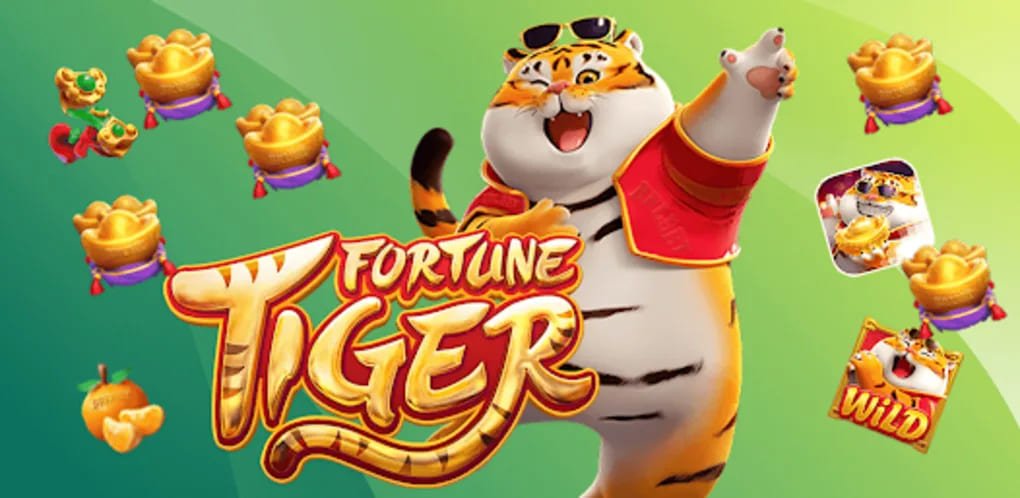 m3 casino bet